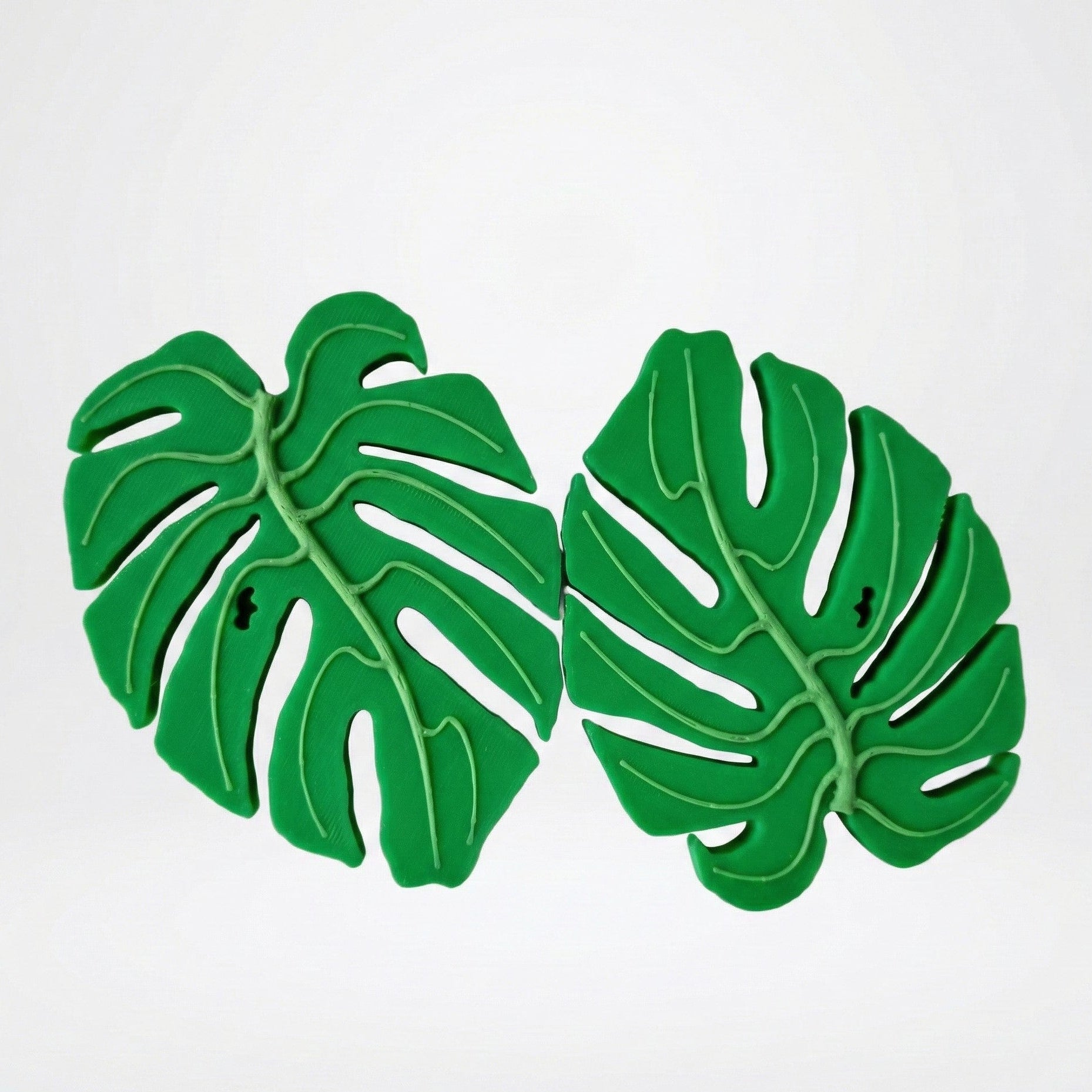 Monstera blad magneet