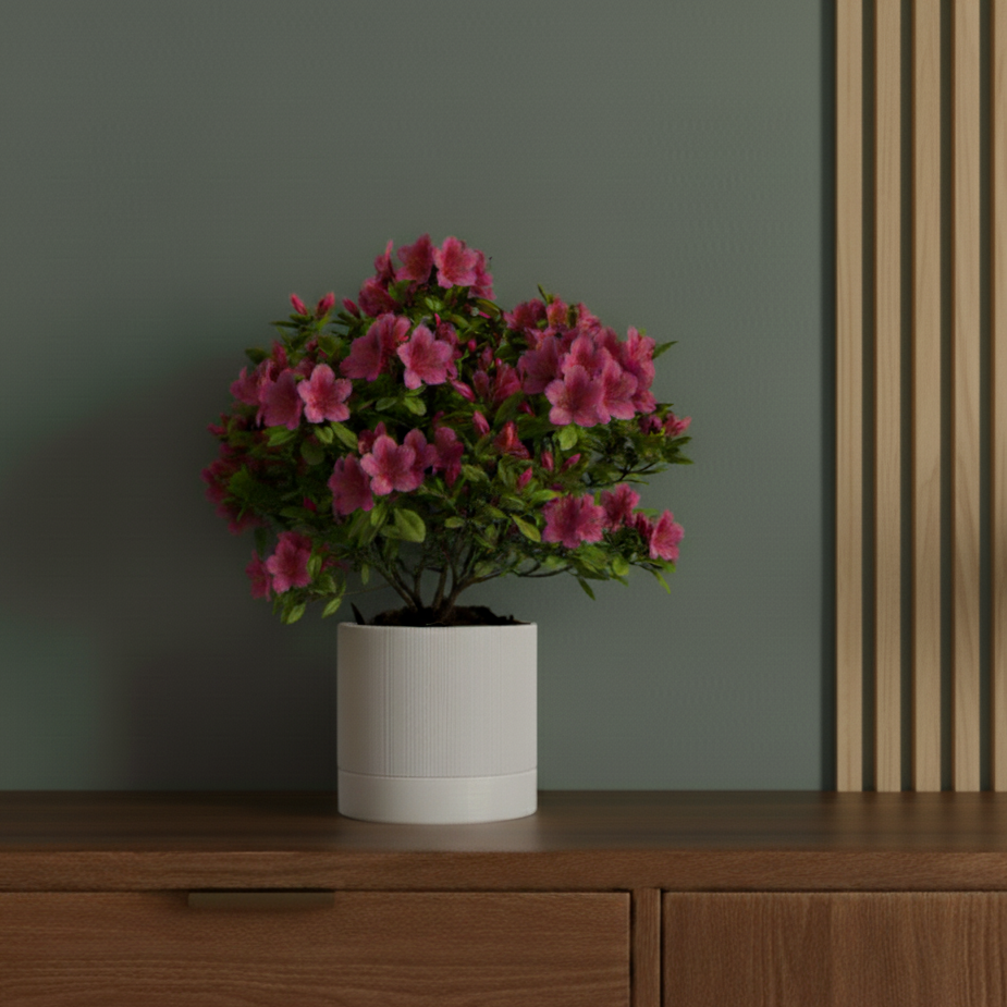 Zelfwaterende_Slimme_plantenpot